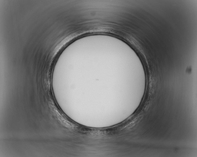 X0000115500789200912041037