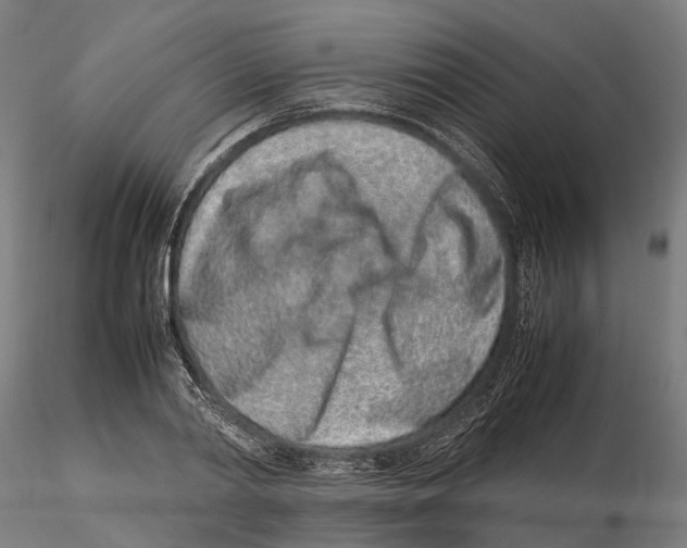 X0000115500790200912041037