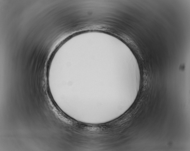 X0000115500792200912041037