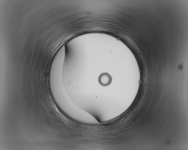 X0000115500793200912041037