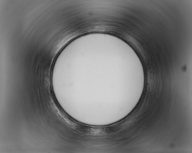 X0000115500794200912041037