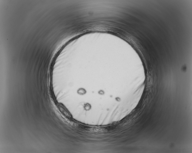 X0000115500795200912041037