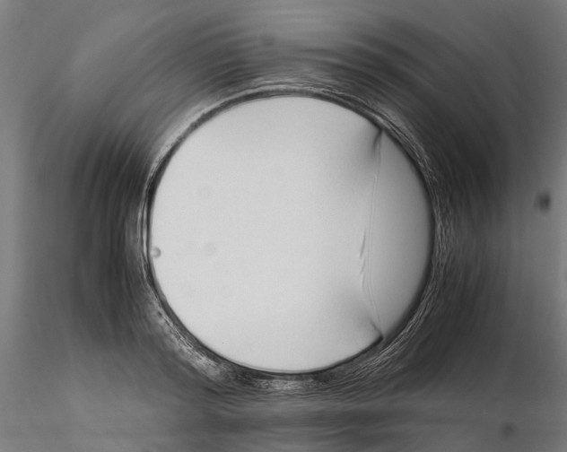 X0000115500796200912041037