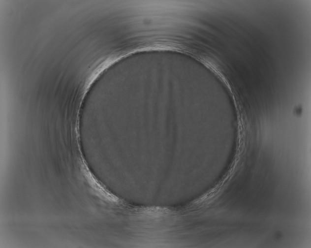 X0000115500797200912041037