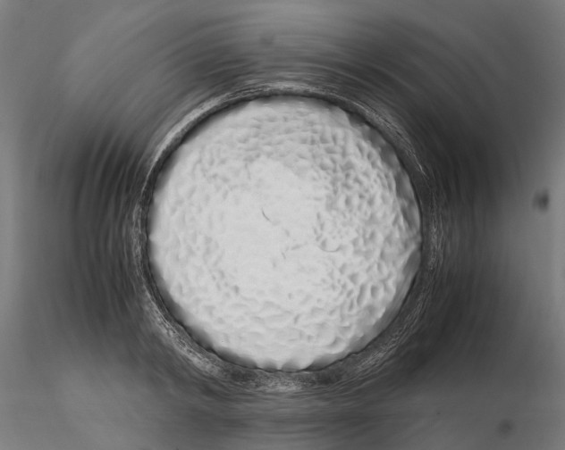 X0000115500798200912041037