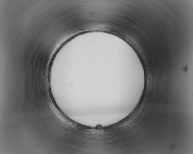 X0000115500800200912041037