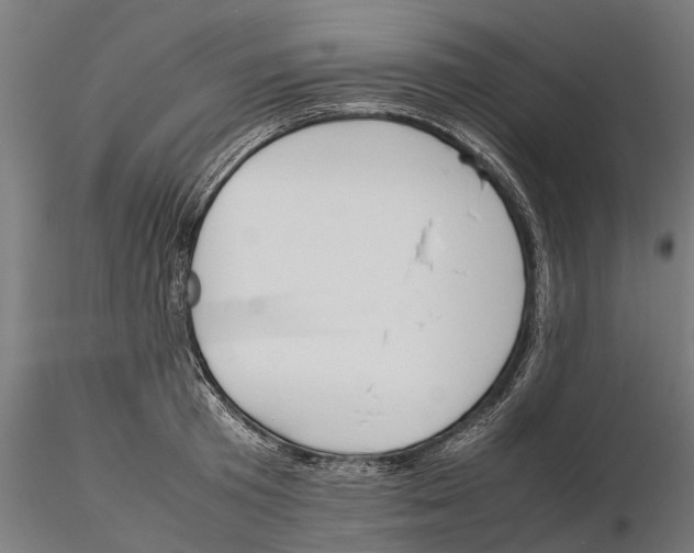 X0000115500801200912041037