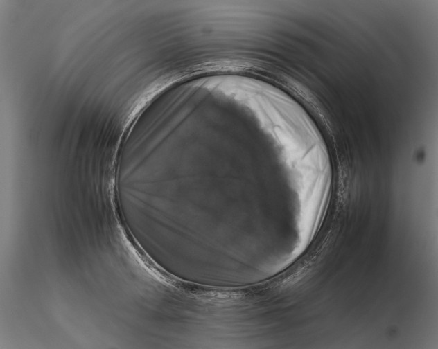 X0000115500802200912041037