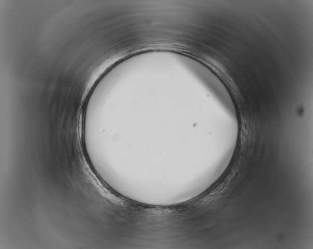 X0000115500804200912041037