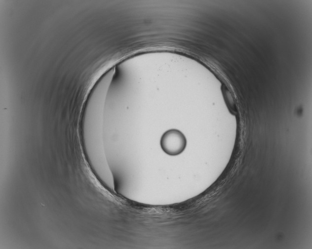 X0000115500805200912041037