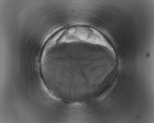 X0000115500806200912041037