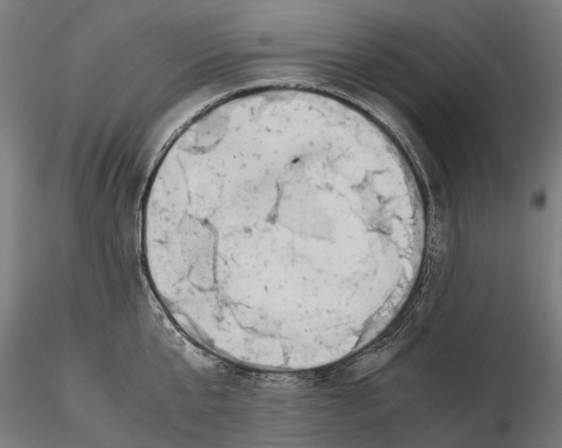 X0000115500807200912041037