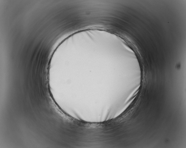 X0000115500808200912041037
