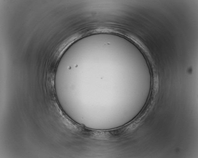 X0000115500809200912041037