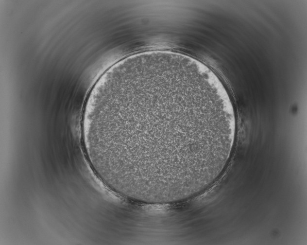 X0000115500810200912041037