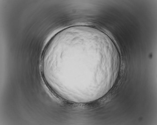X0000115500811200912041037