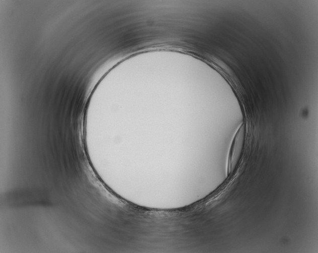 X0000115500812200912041037
