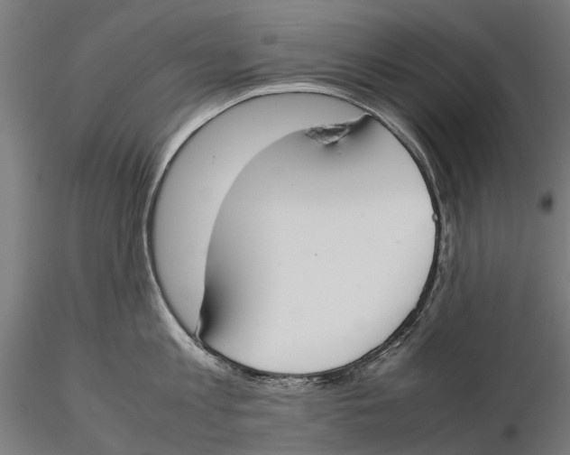X0000115500813200912041037