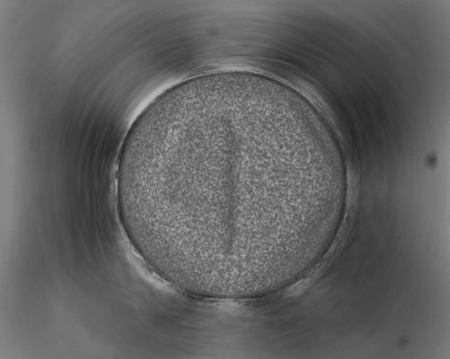 X0000115500814200912041037