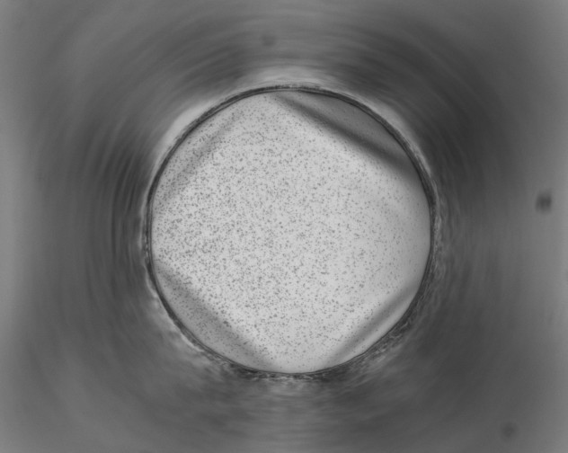 X0000115500815200912041037