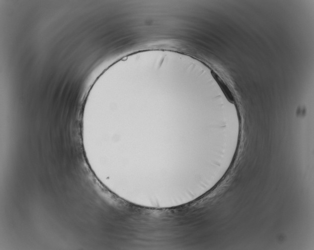 X0000115500816200912041036