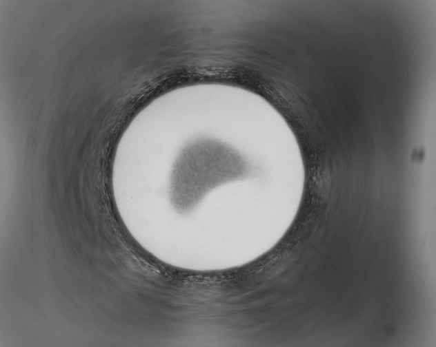 X0000115500817200912041036