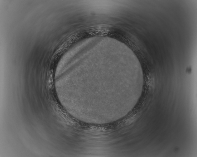 X0000115500818200912041036
