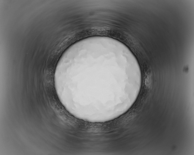 X0000115500819200912041036