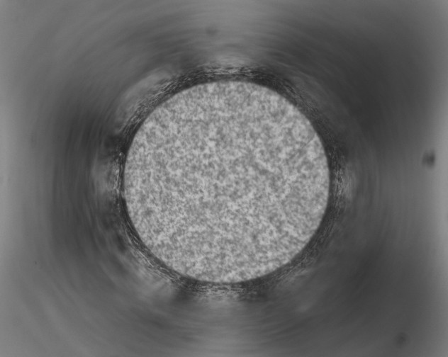 X0000115500820200912041036