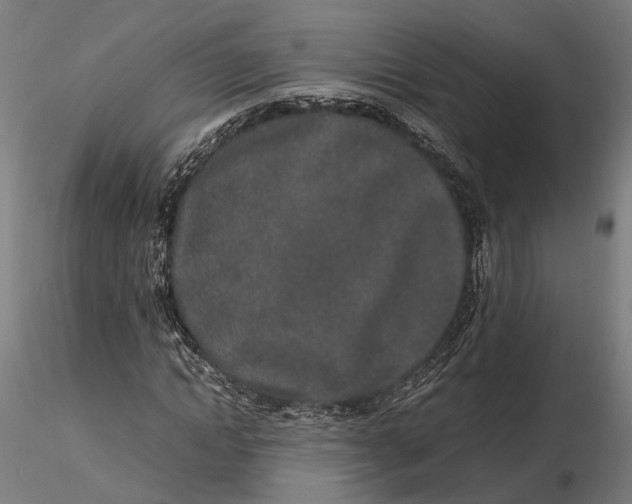 X0000115500822200912041036