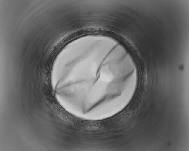 X0000115500823200912041036