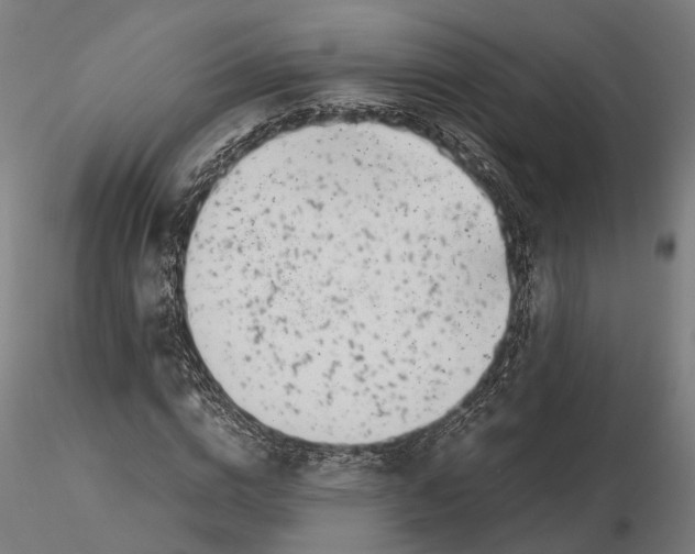 X0000115500824200912041036
