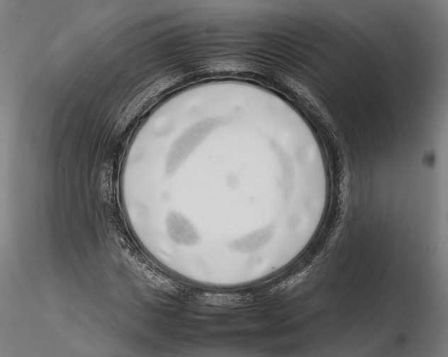 X0000115500825200912041036