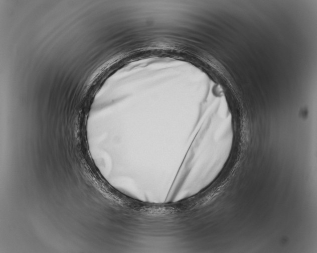 X0000115500826200912041036