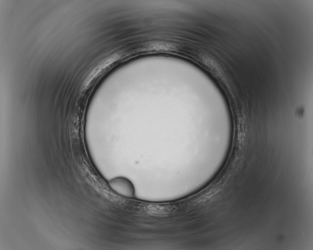 X0000115500827200912041036