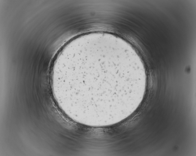X0000115500828200912041036