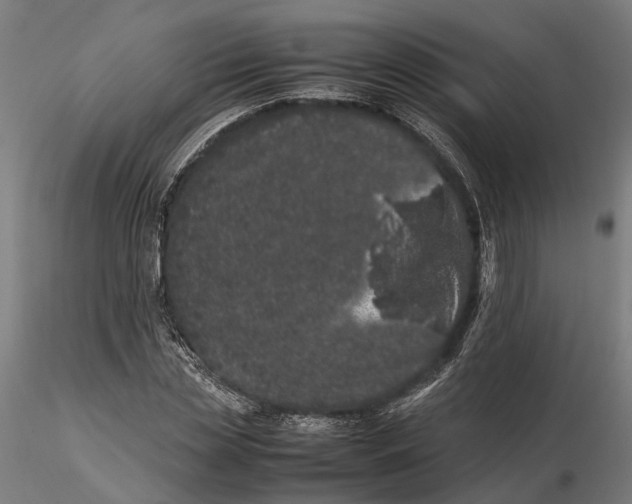 X0000115500829200912041036