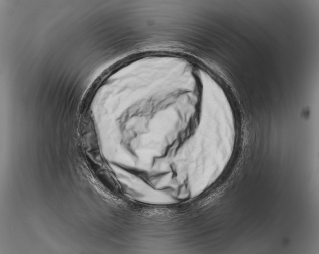 X0000115500830200912041036