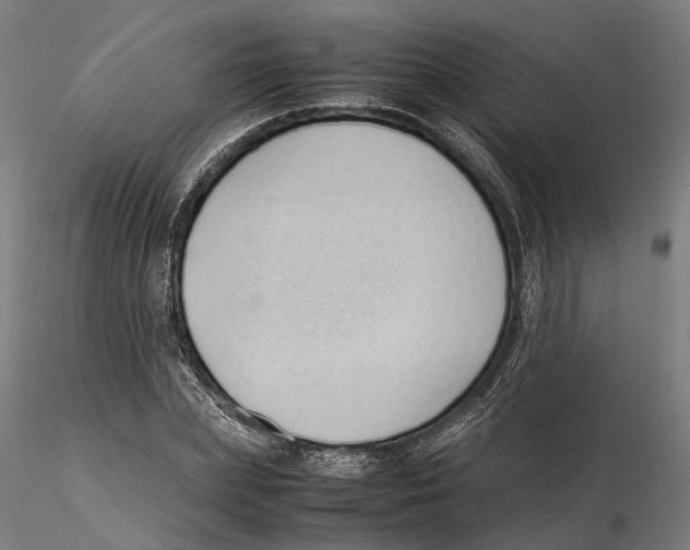 X0000115500831200912041036