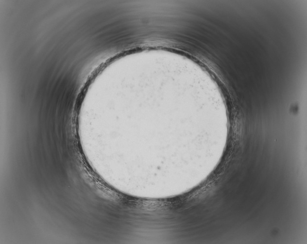 X0000115500832200912041036