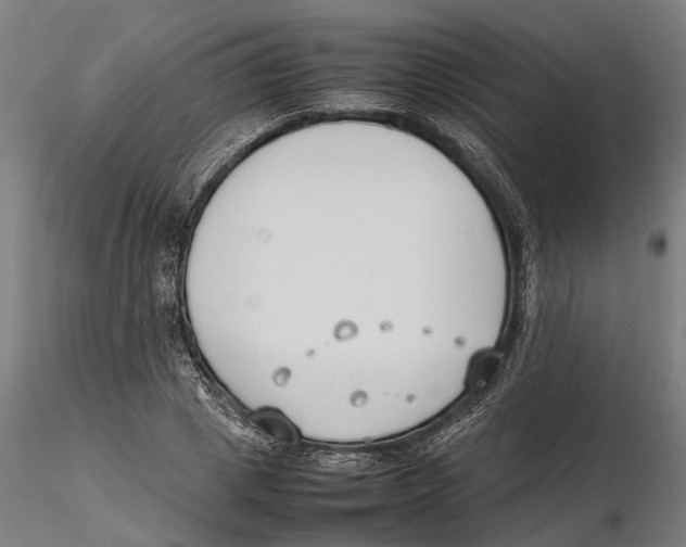 X0000115500833200912041036