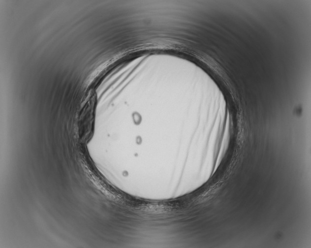 X0000115500834200912041036
