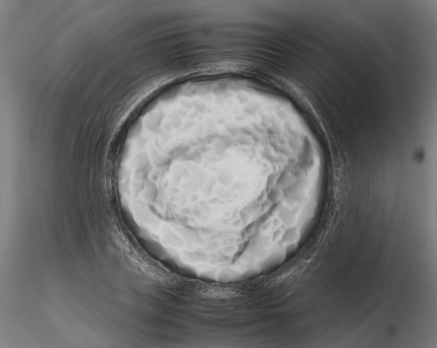 X0000115500835200912041036