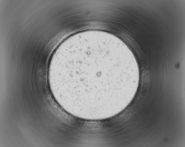 X0000115500836200912041036