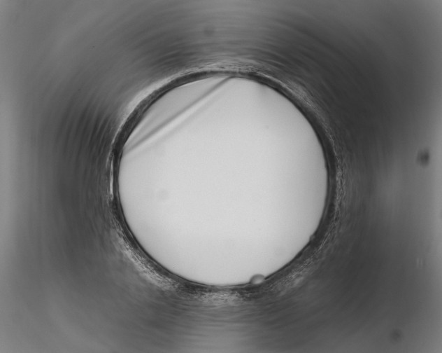 X0000115500838200912041036