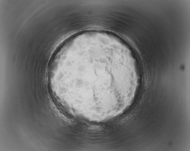 X0000115500839200912041036