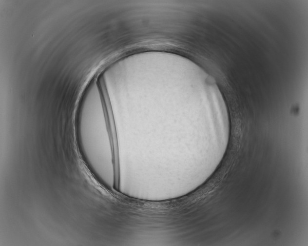 X0000115500840200912041036