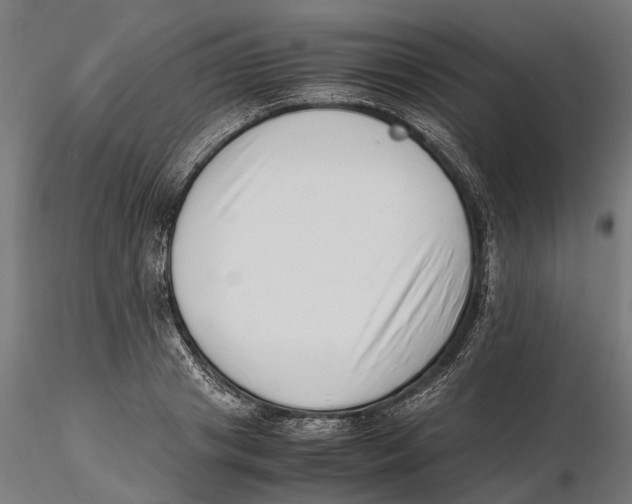 X0000115500841200912041036