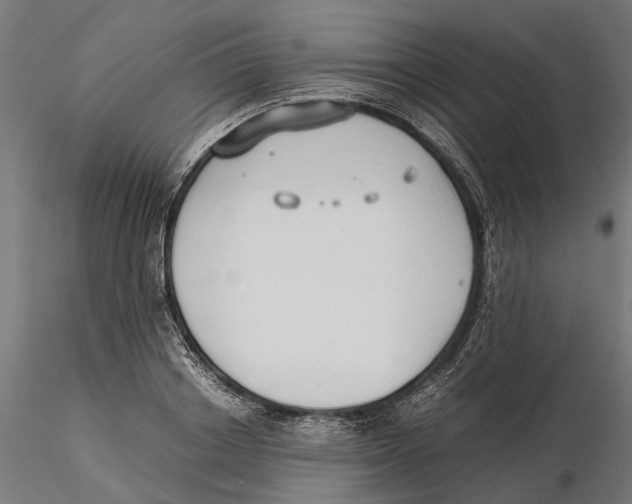 X0000115500842200912041036