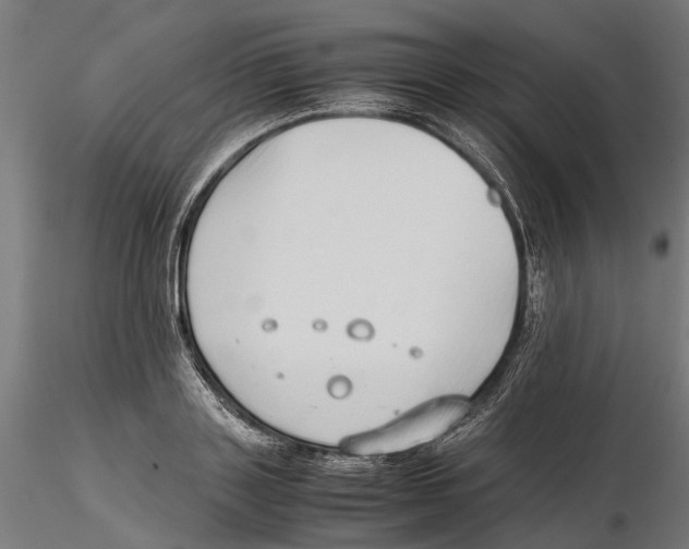 X0000115500843200912041036